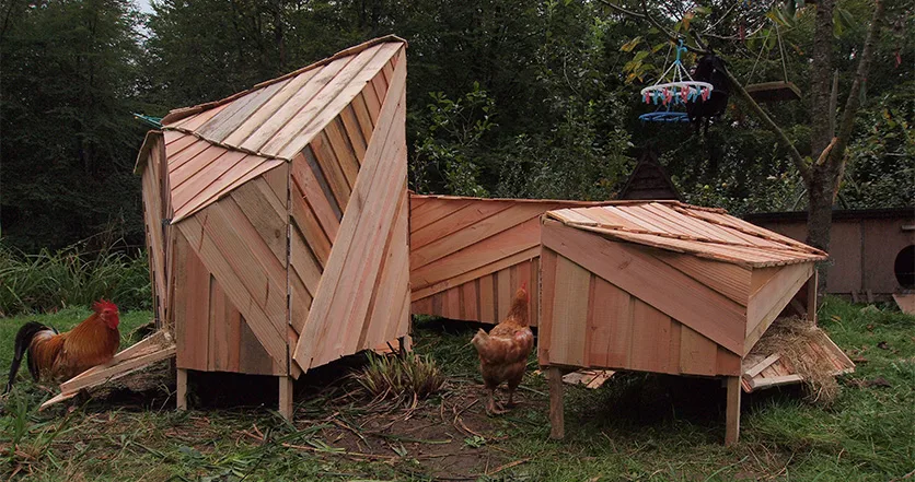 Pultry House @ Thiago José Barros